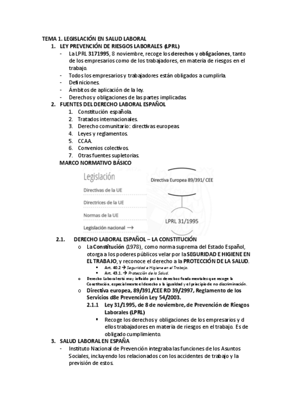 Miniatura del documento TEMA-1.-LEGISLACION-EN-SALUD-LABORAL.pdf