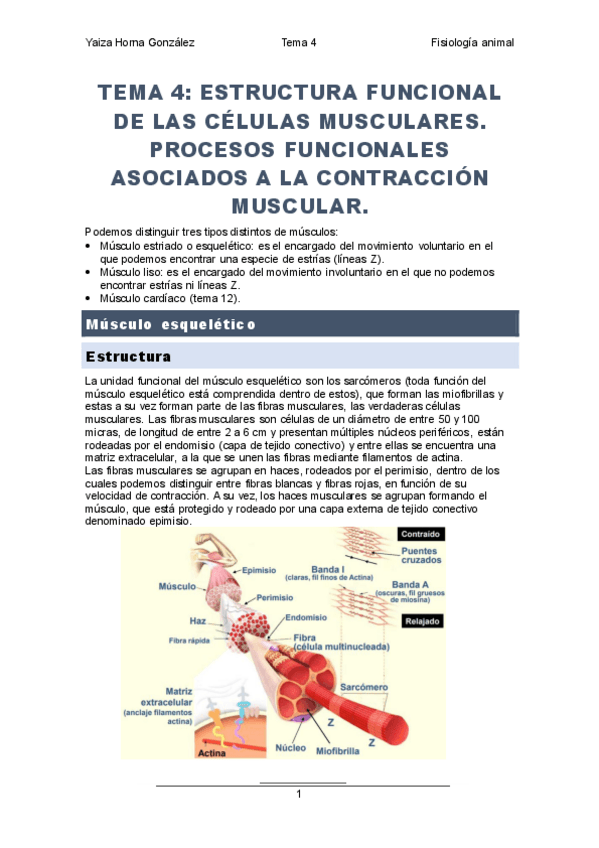 Miniatura del documento Tema-4..pdf