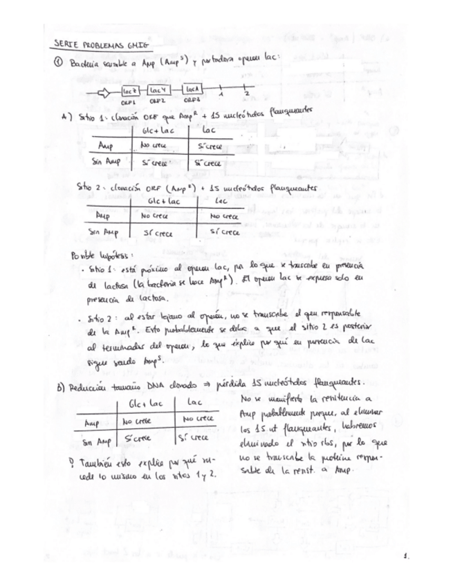 Miniatura del documento Serie de problemas resuelta parte 1.pdf