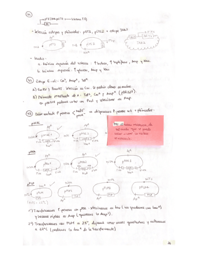 Miniatura del documento Serie de problemas resuelta parte 2.pdf