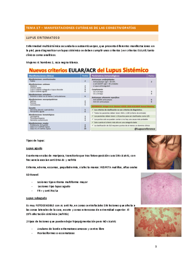 Miniatura del documento TEMA-17.pdf