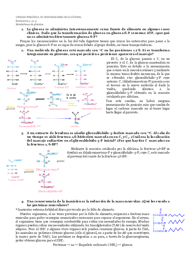 Miniatura del documento seminario-3-4-y-5.pdf