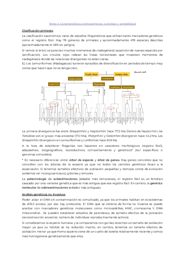 Miniatura del documento Tema4.pdf