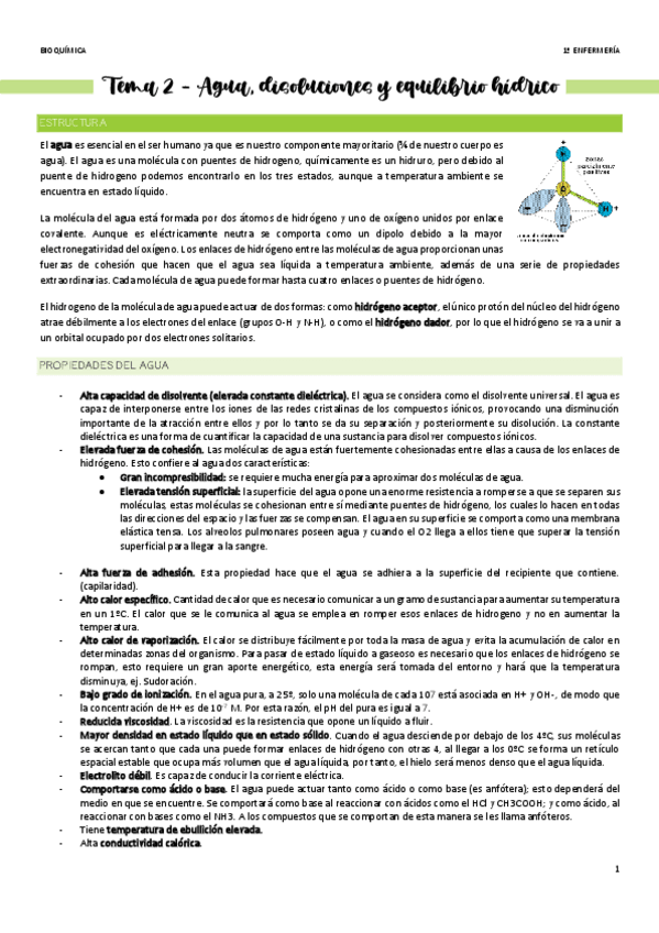 Miniatura del documento Tema-2-Agua-disoluciones-y-equilibrio-hidrico.pdf