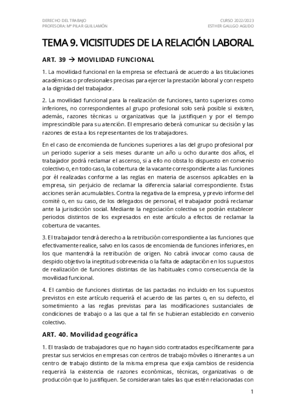 Miniatura del documento Tema-9.-Dcho-Trabajo.pdf