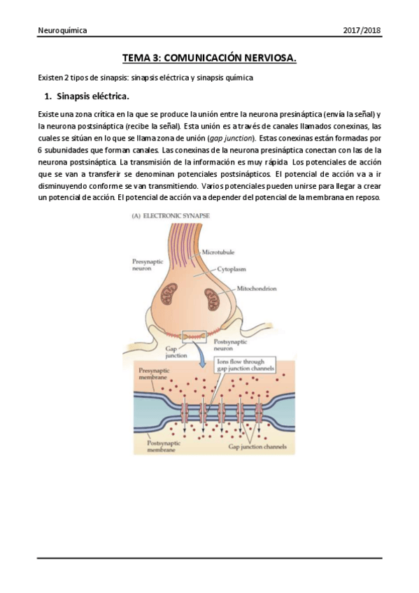 Miniatura del documento Tema 3.pdf