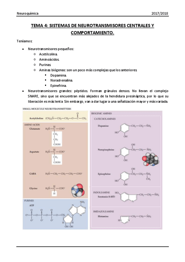 Miniatura del documento Tema 4.pdf