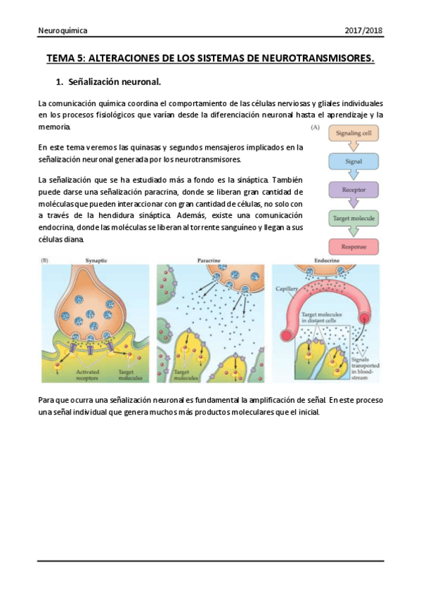 Miniatura del documento Tema 5.pdf