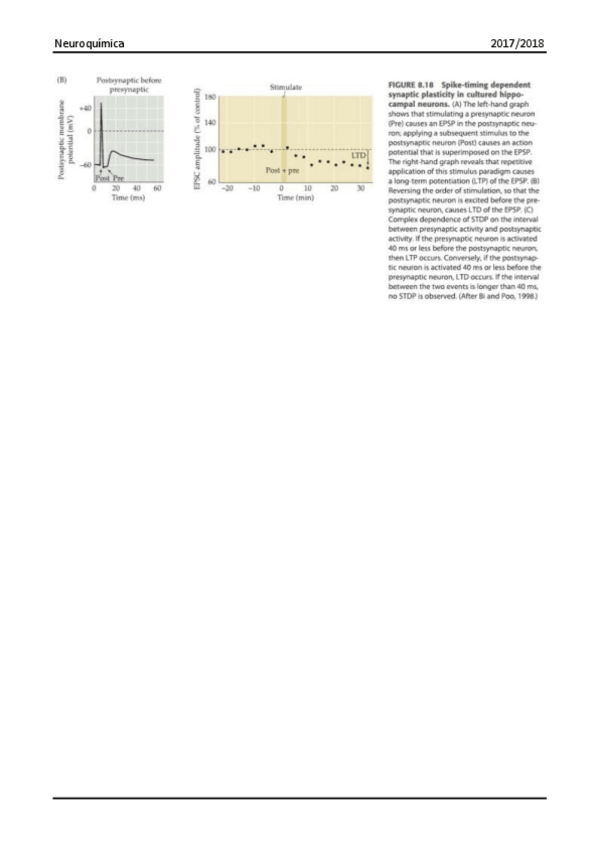 Miniatura del documento Tema 6.pdf