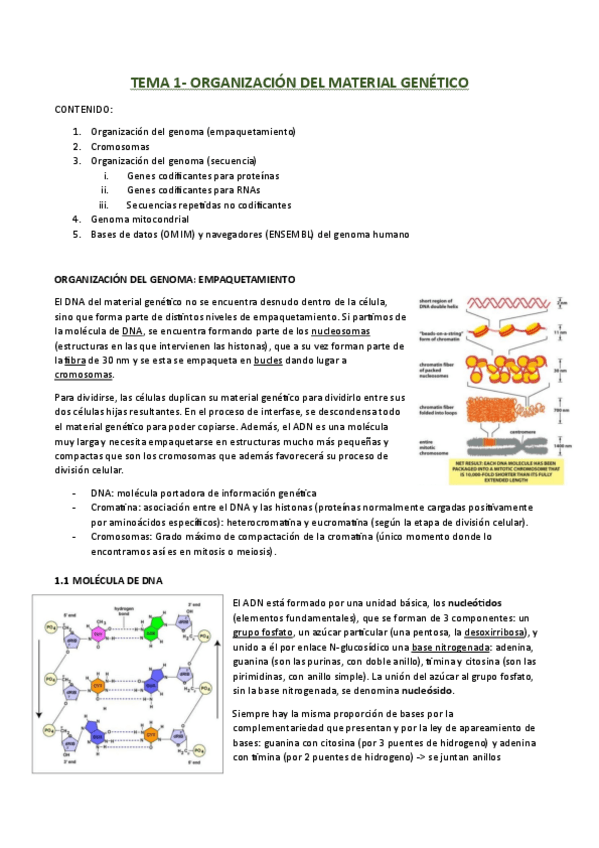 Miniatura del documento TEMA-1.pdf