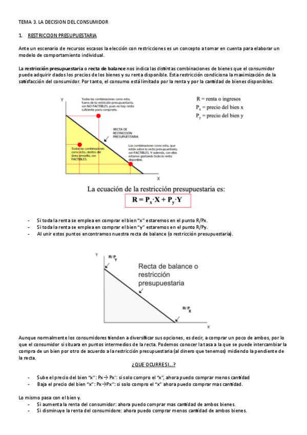 Miniatura del documento TEMA-3.pdf