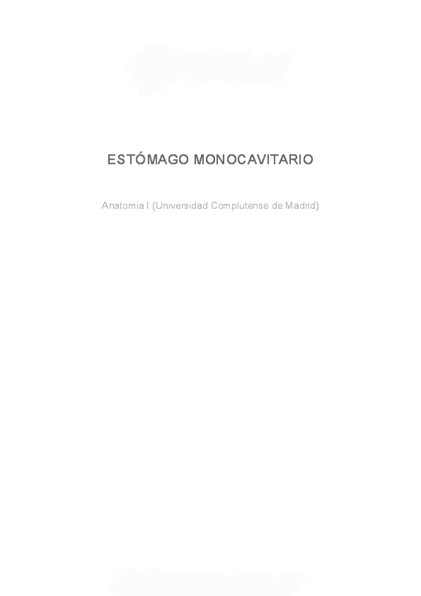 Miniatura del documento estomago-monocavitario.pdf
