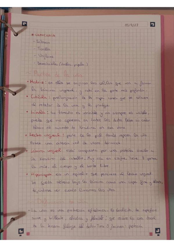 Miniatura del documento partesdelauna.pdf