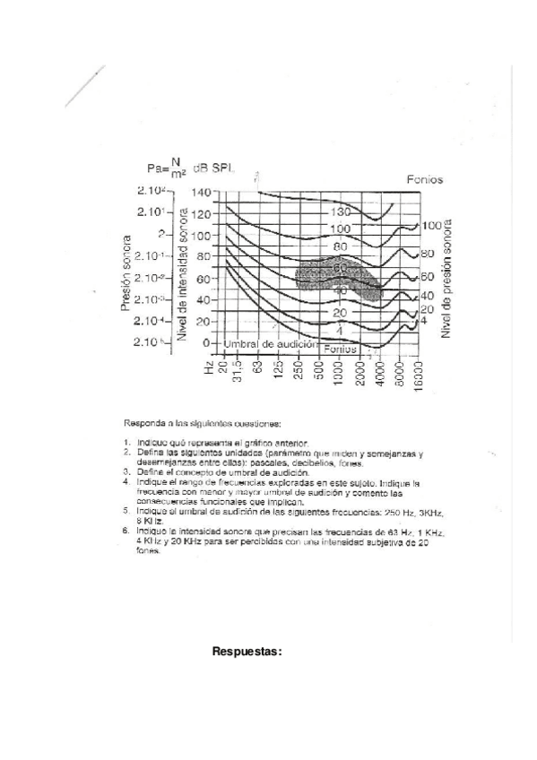 Miniatura del documento PRACTICA-SONORIDAD-2.docx