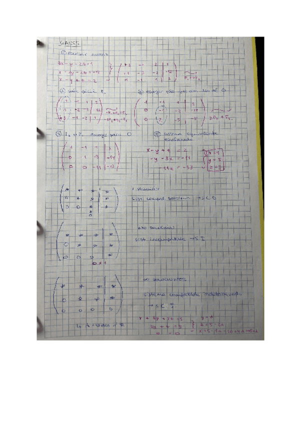 Miniatura del documento Gauss.pdf