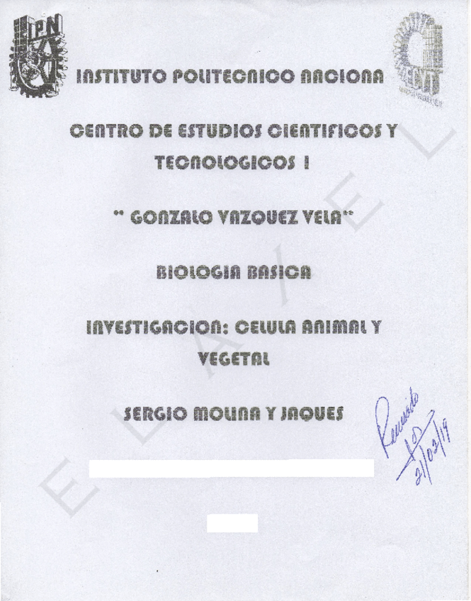 Miniatura del documento INVESTIGACION-CELULA-ANIMAL-Y-VEGETAL.pdf