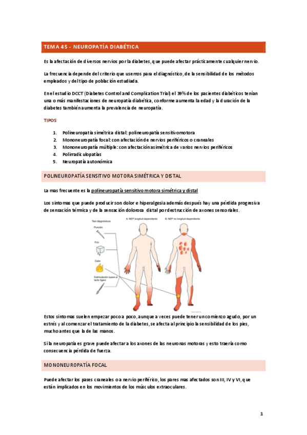Miniatura del documento NEUROATIA-DIABETICA.pdf