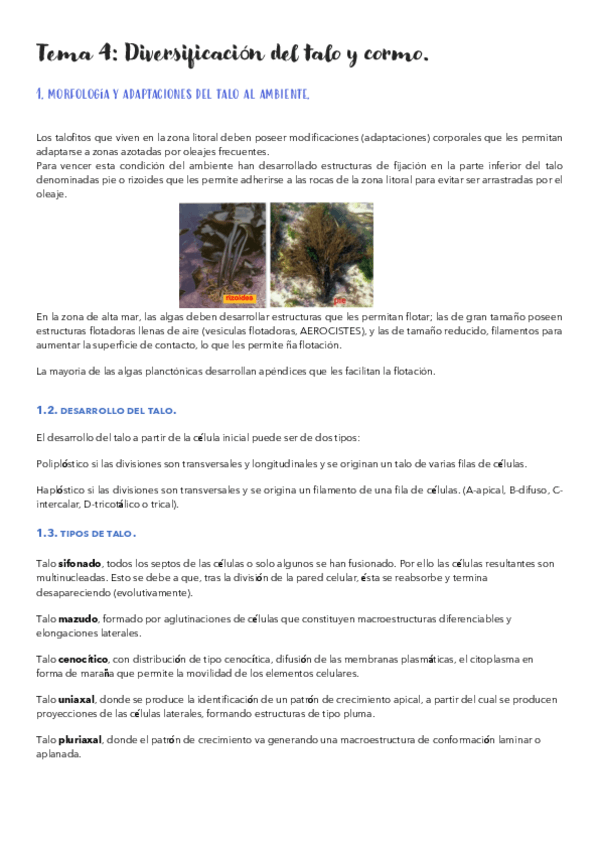 Miniatura del documento Tema-4.pdf