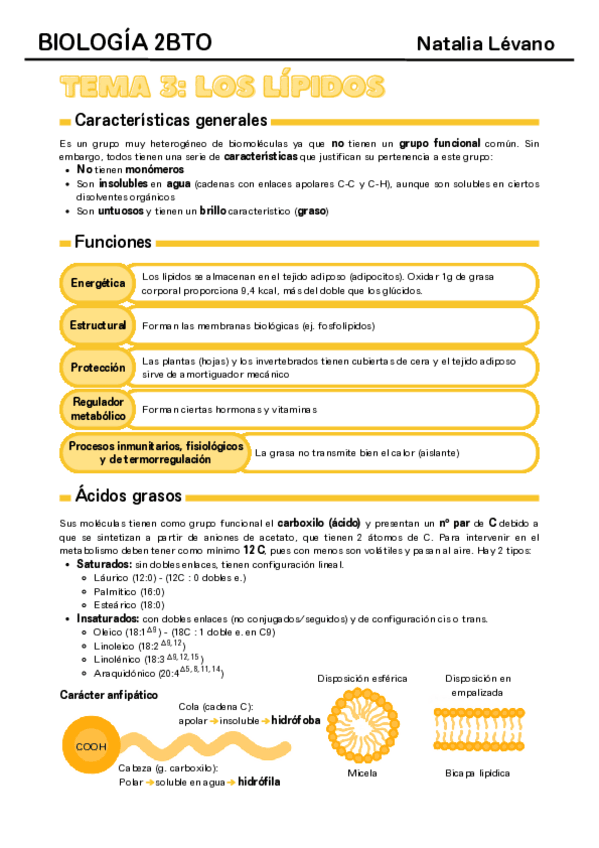 Miniatura del documento Tema-3-lipidos.pdf