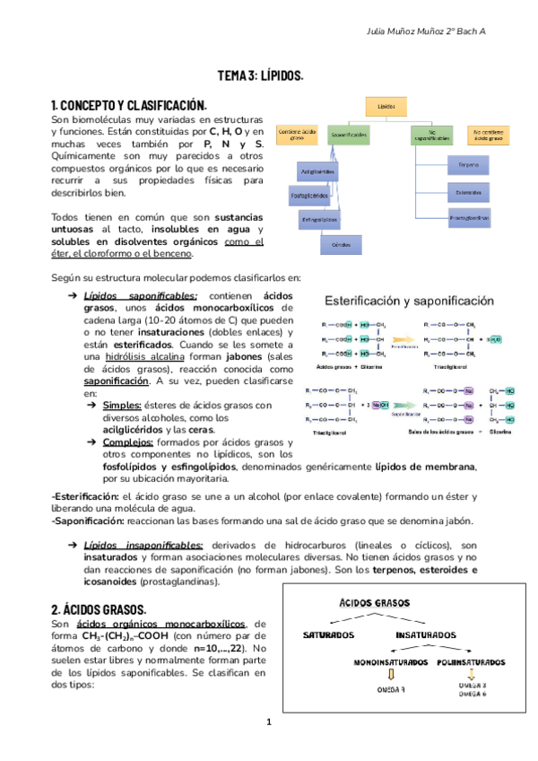 Miniatura del documento Tema-3-Lipidos--Biologia..pdf