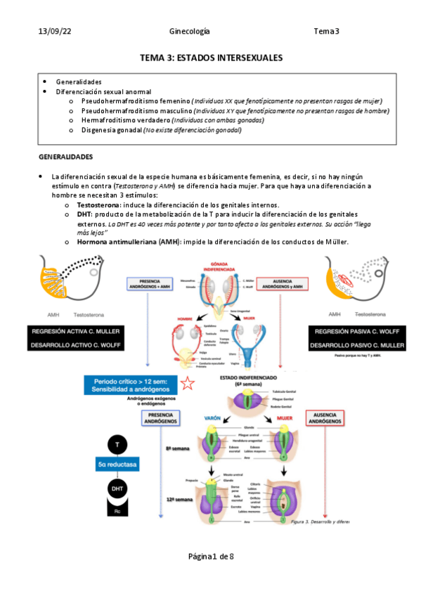 Miniatura del documento TEMA-3.-ESTADOS-INTERSEXUALES.pdf