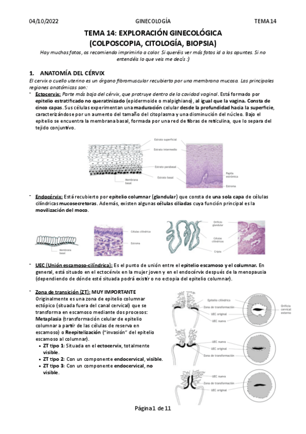 Miniatura del documento Tema-14-Exploracion-ginecologica.pdf
