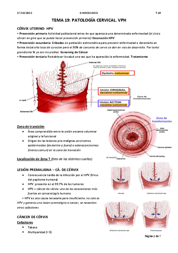 Miniatura del documento tema-19-gine.pdf