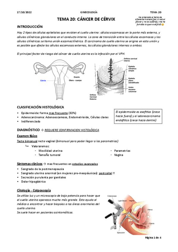 Miniatura del documento TEMA-20.-CANCER-DE-CERVIX.pdf