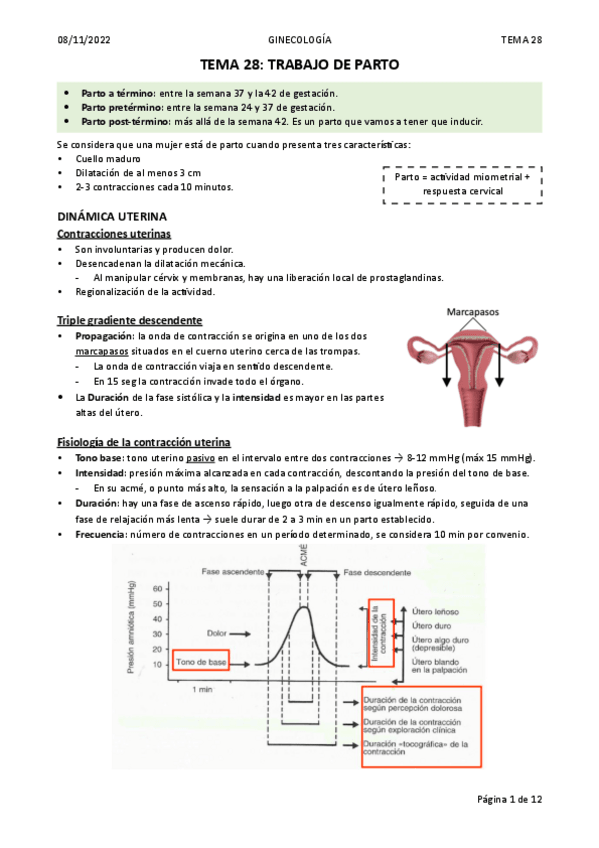 Miniatura del documento TEMA-28.-TRABAJO-DE-PARTO.pdf