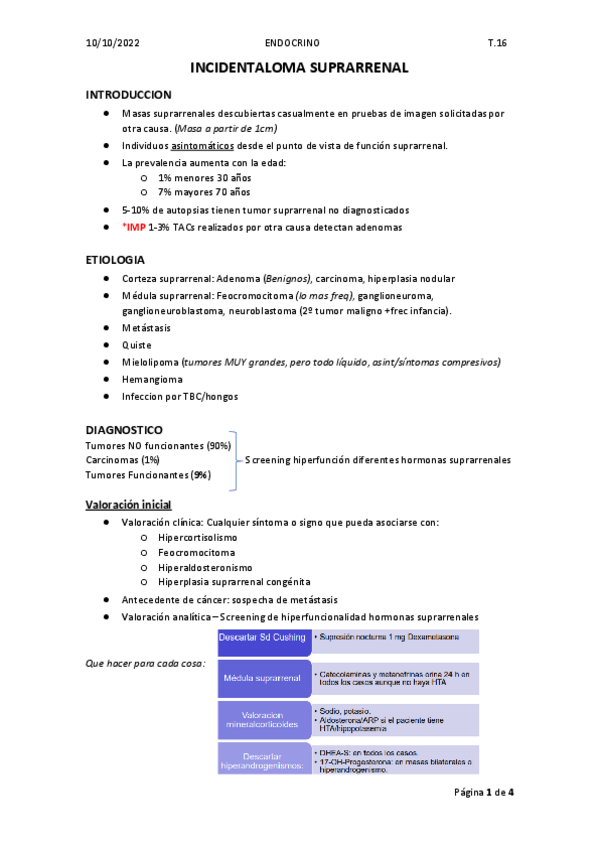 Miniatura del documento TEMA-6-INCIDENTALOMA-SUPRARRENAL.pdf