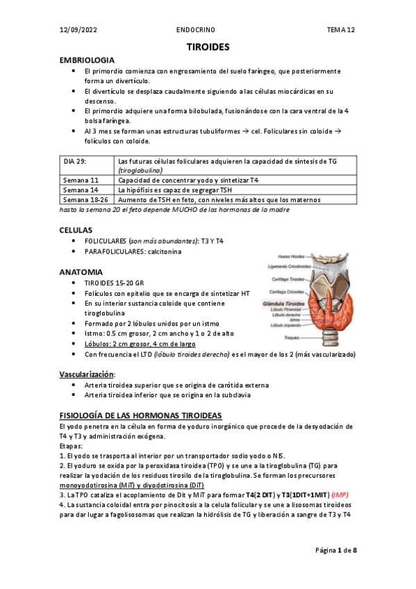 Miniatura del documento T1-2-Introduccion.pdf