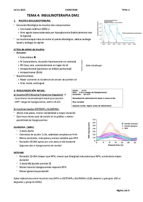 Miniatura del documento TEMA-4.-INSULINOTERAPIA-DM1.pdf