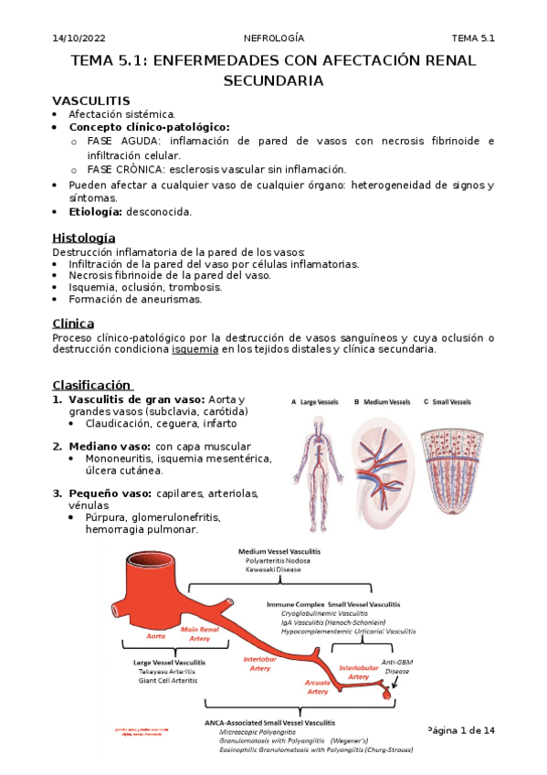 Miniatura del documento T5.1.-Vaculitis.docx
