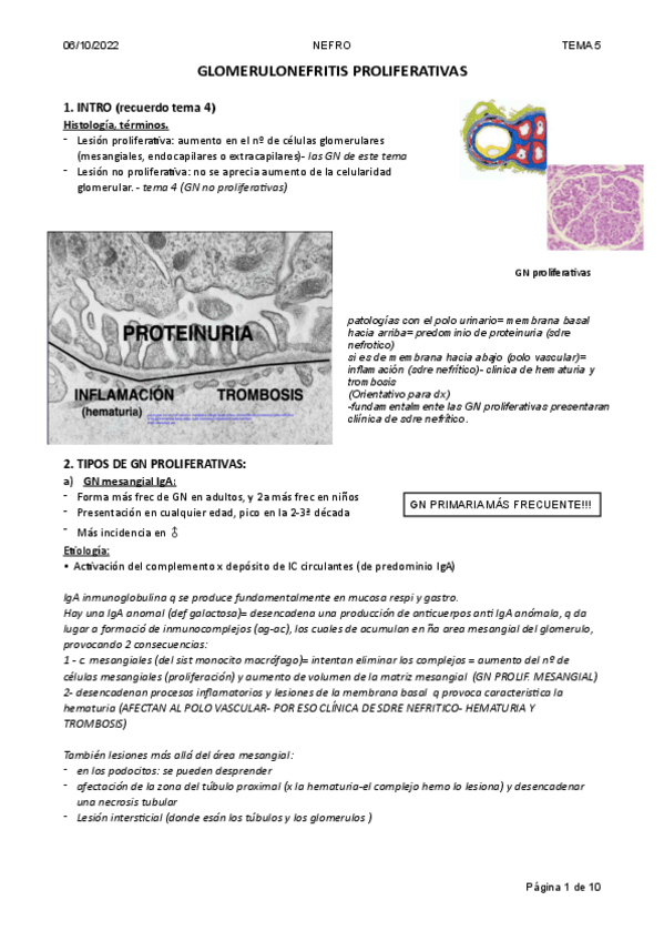 Miniatura del documento Tema-4.2-NG-Proliferativas.pdf