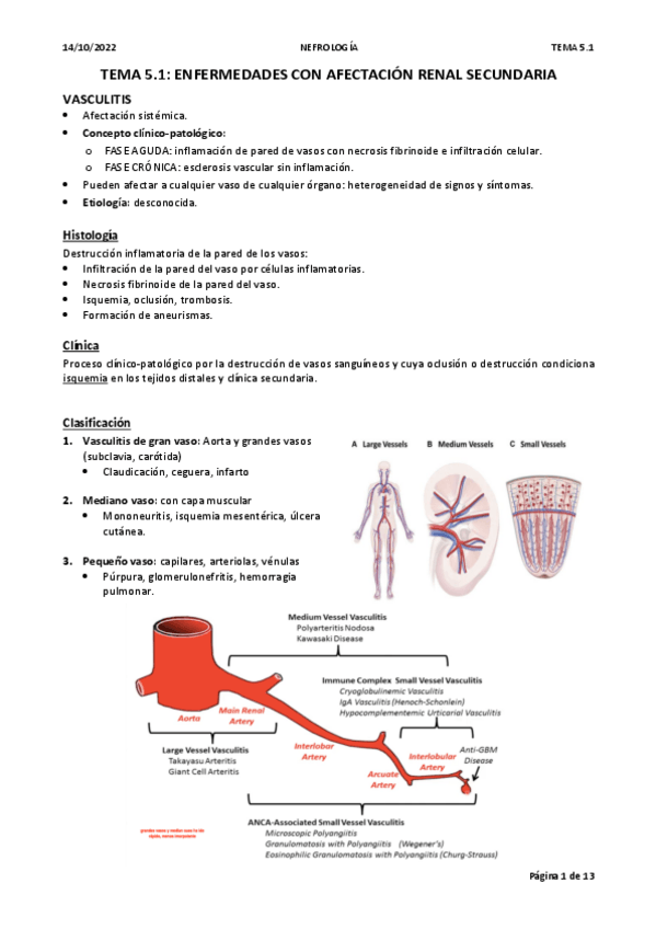 Miniatura del documento TEMA-5.1.-vasculitis.pdf