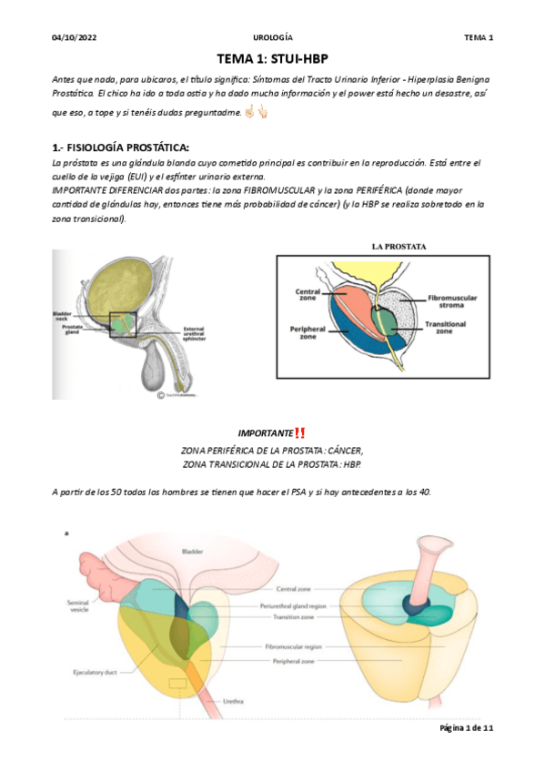 Miniatura del documento TEMA-1-UROLOGIA.pdf