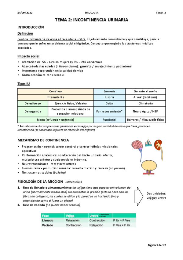 Miniatura del documento Tema-2.-INCONTINENCIA-URINARIA.pdf
