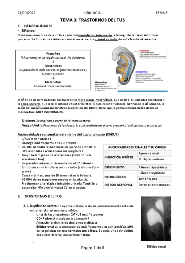 Miniatura del documento Tema-3-Trastorno-de-la-TUSA.pdf