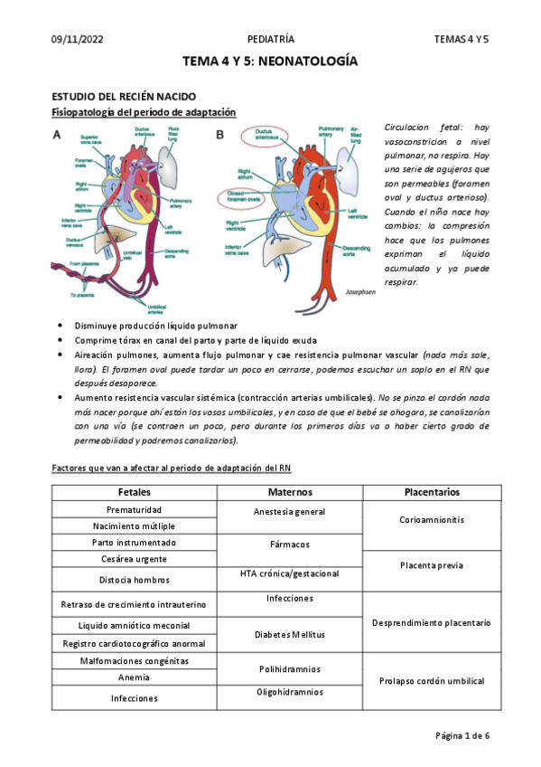 Miniatura del documento T4-Y-5.pdf