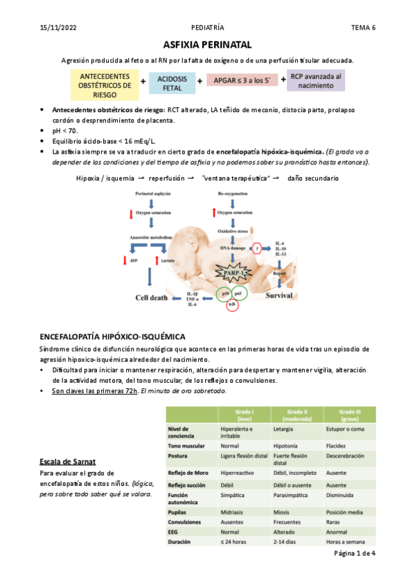 Miniatura del documento T6.-ASFIXIA-PERINATAL.pdf