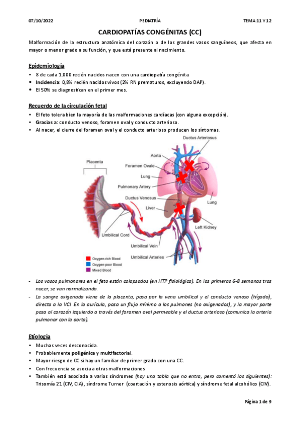 Miniatura del documento T11-Y-12-CARDIOPATIAS-CONGENITAS.pdf
