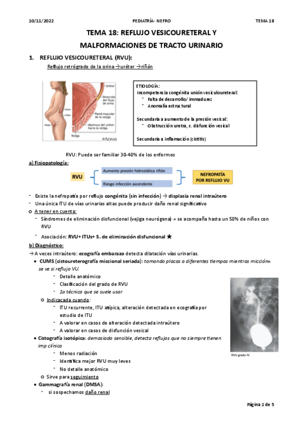 Miniatura del documento T18-RVU.pdf