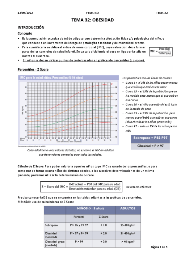 Miniatura del documento T32-OBESIDAD.pdf