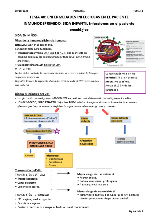 Miniatura del documento T48-VIH.pdf