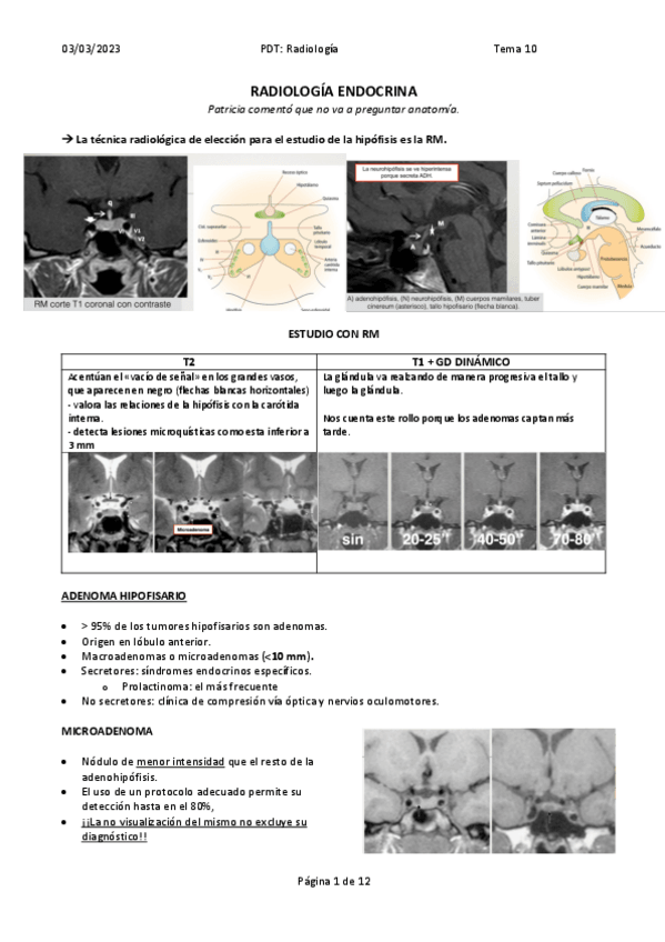 Miniatura del documento TEMA-10.-RADIOLOGIA-ENDOCRINA.pdf