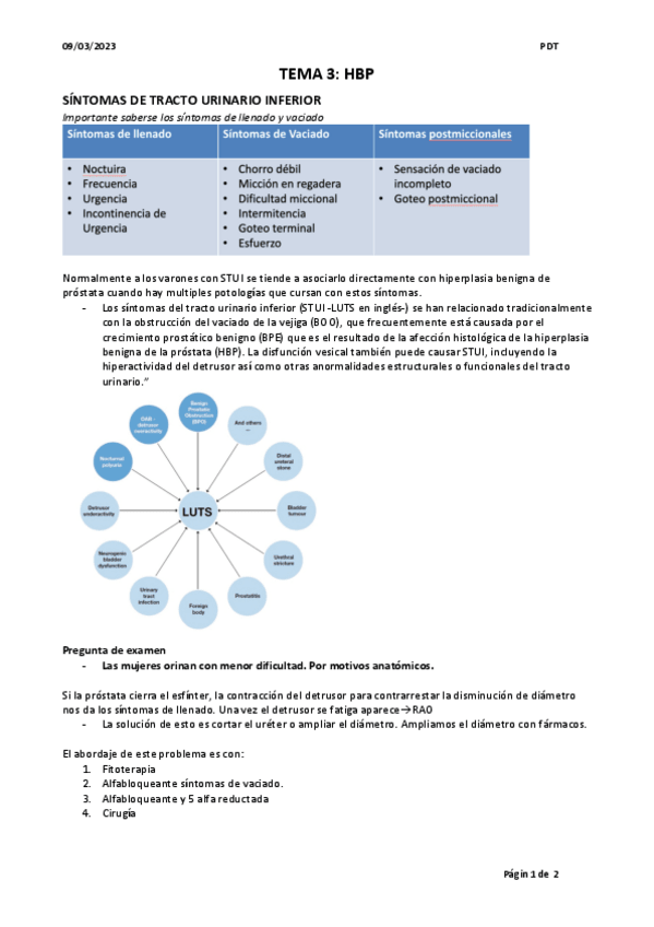 Miniatura del documento T3.-HBP.pdf
