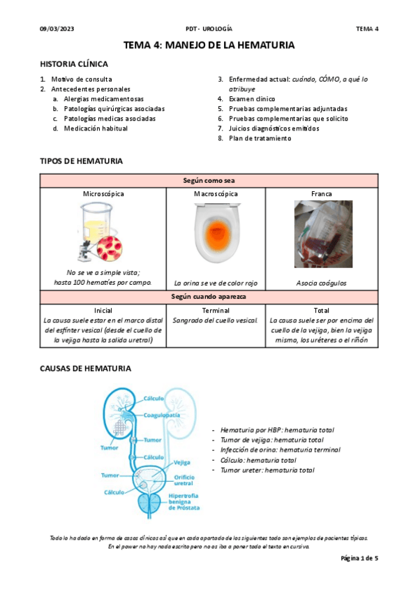Miniatura del documento T4.-HEMATURIA.pdf