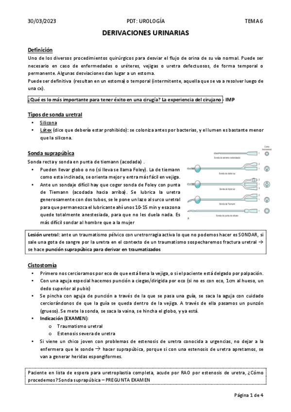 Miniatura del documento T6.-derivaciones-urinarias.pdf