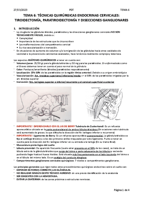 Miniatura del documento TEMA-6-TECNICAS-QUIRURGICAS-ENDOCRINAS-CERVICALES-TIROIDECTOMIA-PARATIROIDECTOMIA-Y-DISECCIONES-GANGLIONARES.pdf