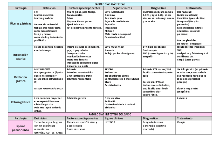 Miniatura del documento Esquema-patologias-gastricas-ID-y-IG.pdf